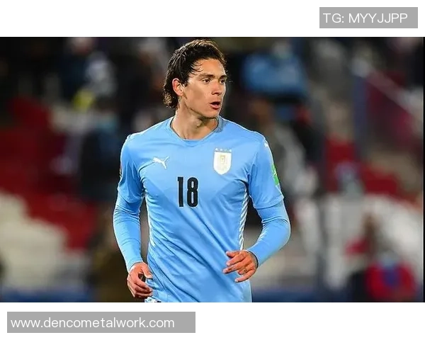 乌拉圭足球明星全名汇总及其辉煌成就回顾